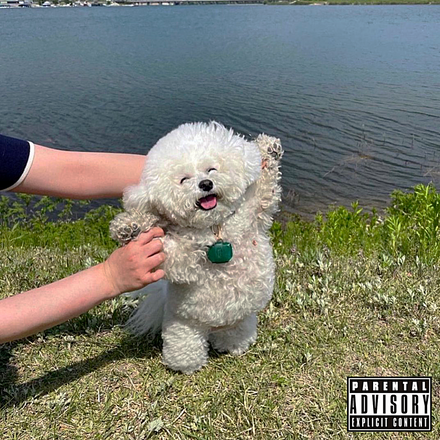 BLU, MED, BANE CAPITAL - GOOD MEN DIE LIKE DOGS